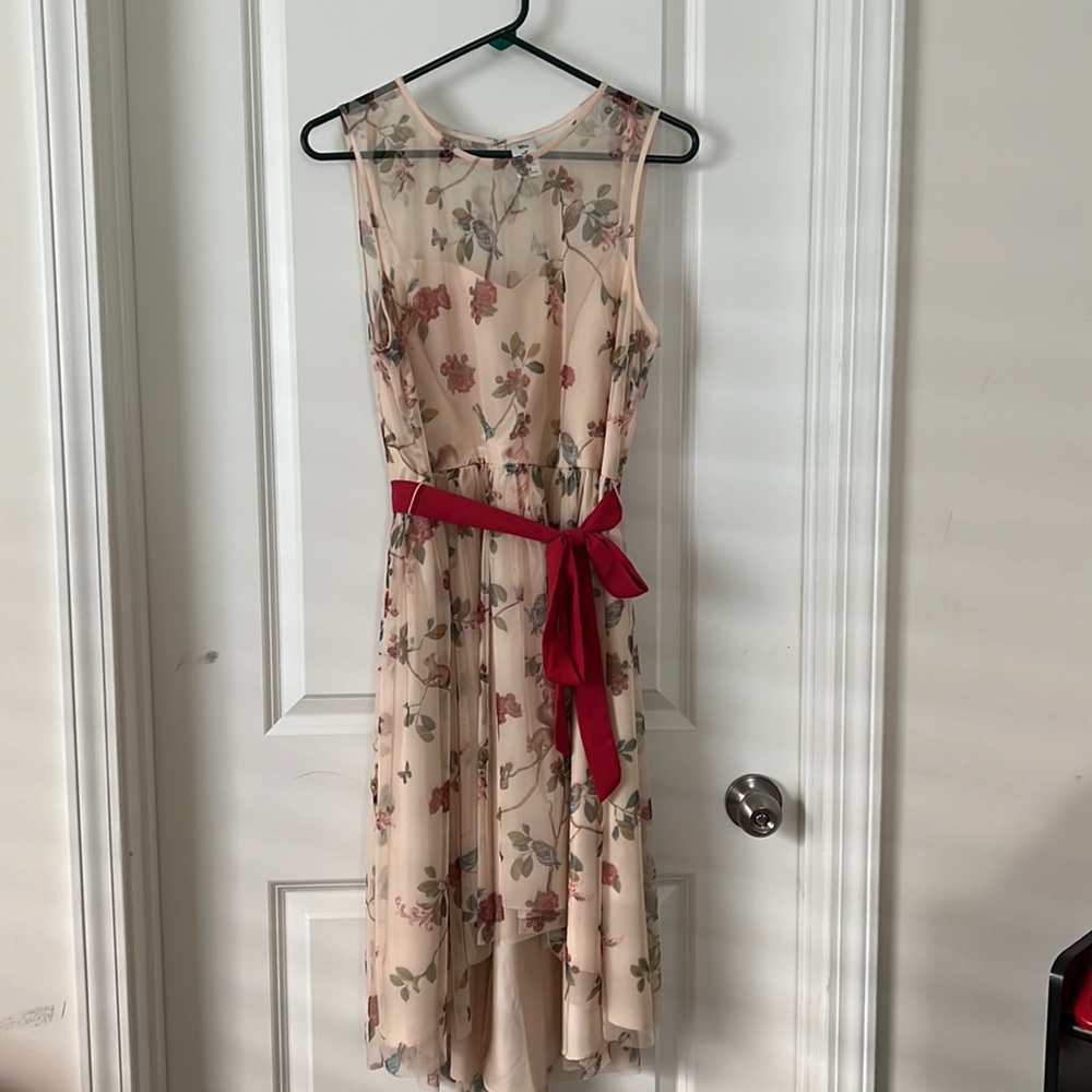 Floral Lace Dress